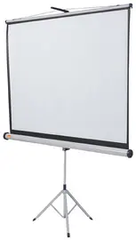 nobo Ecran de projection Standard, (L)1.750 x (H)1.325 mm