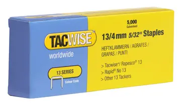 TACWISE Agrafes 13/8 mm, fin, galvanisé