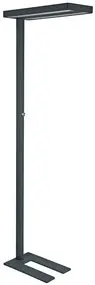 MAUL Lampadaire à LED MAULjaval, dimmable, avec socle