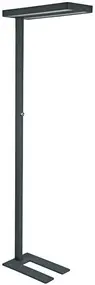 MAUL Lampadaire à LED MAULjuvis, dimmable, socle, noir