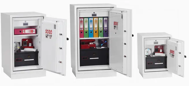 phoenix Coffre-fort pour données DATACOMBI DS2502F