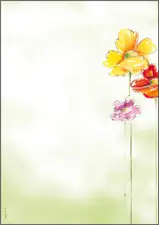 sigel Papier à motif, A4, 90 g/m2, motif "Spring Flowers