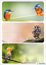 Miniature 4