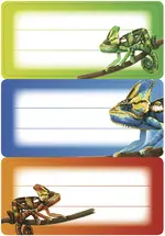 Miniature 2