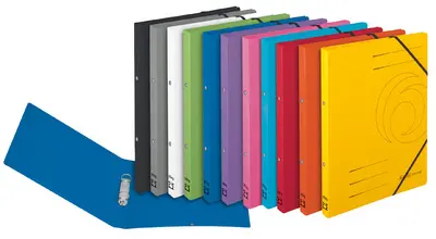 herlitz Classeur à anneaux easyorga, A4, carton