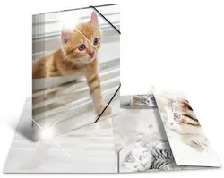 HERMA Chemise à élastiques "chats", PP Glossy, A4