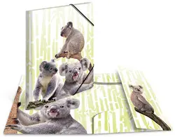 HERMA Chemise à élastiques Animaux exotiques, A3, koalas