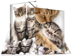 HERMA chemise élastique "chats", en PP, A3