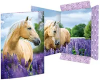 Miniature 2