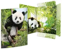 Miniature 9