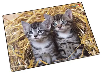 Läufer Sous-main "chats dans les pailles", 400 x 530 mm