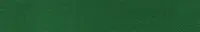 folia Feutrine de bricolage, (L)200 x (H)300 mm, vert sapin