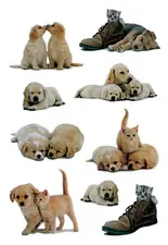 HERMA Autocollants DECOR "Chiots