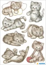 Miniature 1