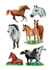 HERMA Sticker DECOR "Races de chevaux
