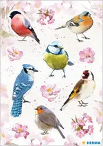 HERMA Sticker DECOR "Oiseaux de chez nous