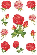 HERMA Sticker DECOR "Roses