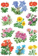 Miniature 3