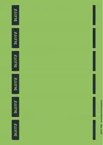 LEITZ Etiquette pour dos de classeur, 39 x 192 mm, vert