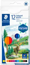 STAEDTLER Crayon couleur Design Journey, étui carton de 12