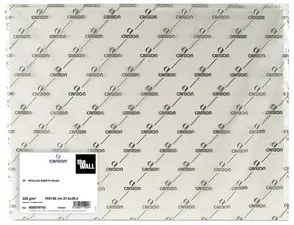 CANSON Papier à dessin "The WALL", 500 x 700 mm, 200 g/m2