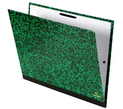 CANSON Carton à dessin STUDIO, 520 x 720 mm, Vert Annonay