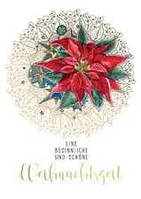 CACTUS Weihnachtskarte "Weihnachtsstern