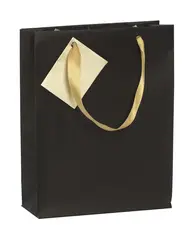 Clairefontaine Sac cadeau de Noël "Émeraude", moyen