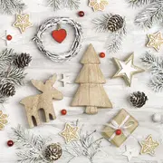 PAPSTAR Serviette à motif de Noël "Winter Potpourri