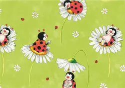 SUSY CARD Papier cadeau "Coccinelle", sur rouleau