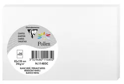 Pollen by Clairefontaine Carte 82 x 128 mm, blanc irisé