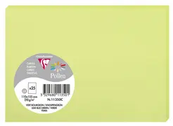 Pollen by Clairefontaine Carte C6, vert bourgeon