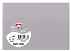 Pollen by Clairefontaine Carte C6, gris koala