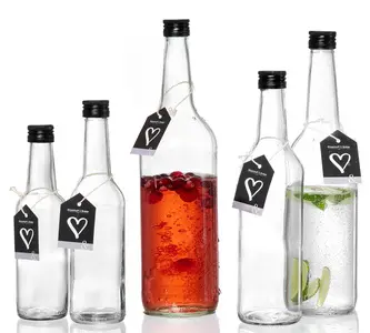 Ritzenhoff & Breker Bouteille en verre MARA, 500 ml