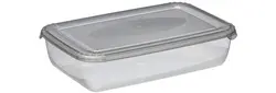 plast team Boîte de congélation Polar, 1,9 litre, gris