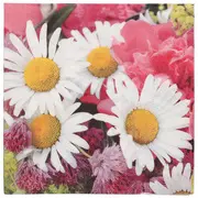 Miniature 4