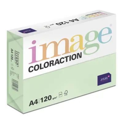 Papier Couleur Forest/Vert A4 120 g/m² Image Coloraction