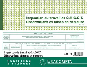 EXACOMPTA Piqûre "Inspection du travail et CHSCT