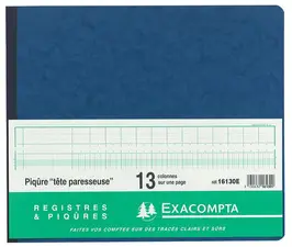 EXACOMPTA Piqûre tête paresseuse, 11 colonnes sur 1 page