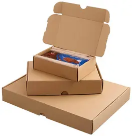 Smartboxpro Carton d'expédition maxi, (L)240x(P)160x(H)50 mm