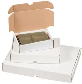 Smartboxpro Carton d'expédition maxi, (L)350x(P)250x(H)50 mm