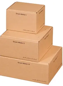 smartboxpro Carton d'expédition "Smart Mailer", moyen, brun