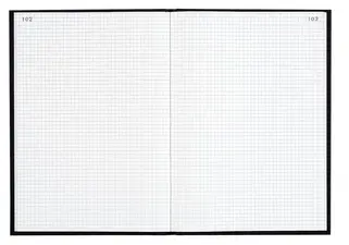 LE DAUPHIN Registre quadrillé 5x5, 297 x 210 mm, noir