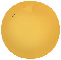 LEITZ Ballon d'assise Ergo Cosy, diamètre: 650 mm, jaune