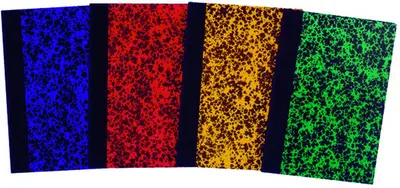 ELVE Registre Corrigé Annonay, quadrillé 5x5, 297 x 210 mm