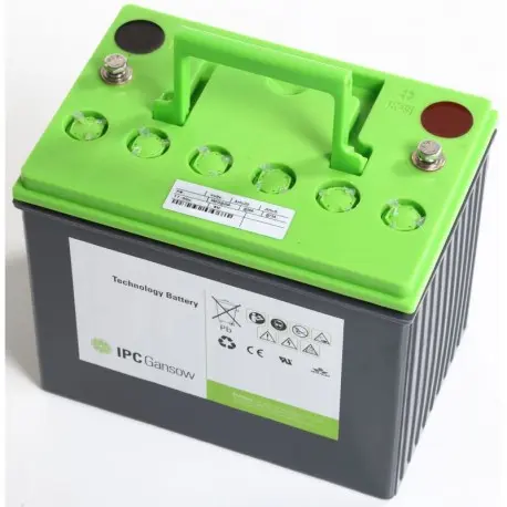 FDV*Batterie AGM 12V 74Ah BAAC00117