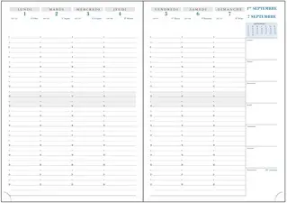 EXACOMPTA Recharge pour agenda SAD 29, 2026/2027, 16 mois