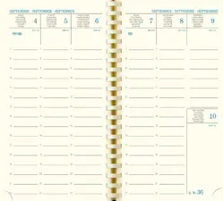 EXACOMPTA Recharge pour agenda SAD 16S, 2026/2027, 16 mois
