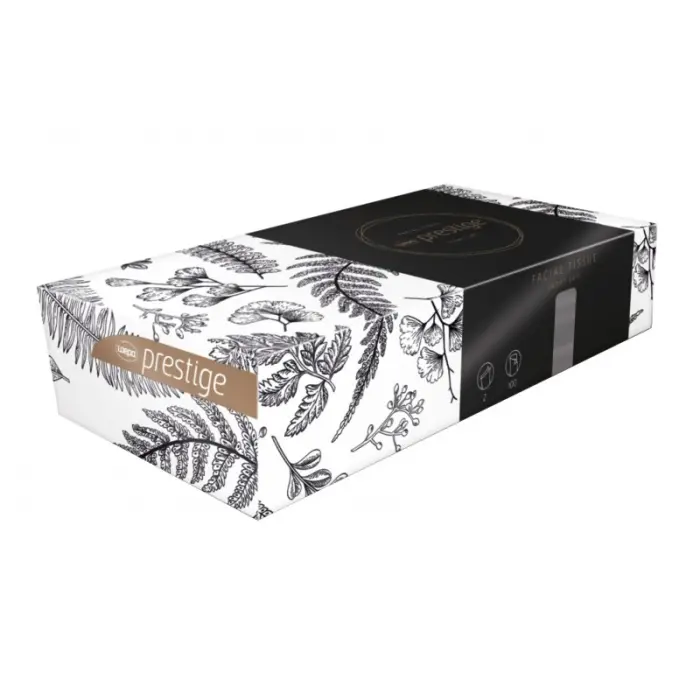 Mouchoirs cosmétiques 2plis pure ouate blanc écolabel-206451-Ct40x100