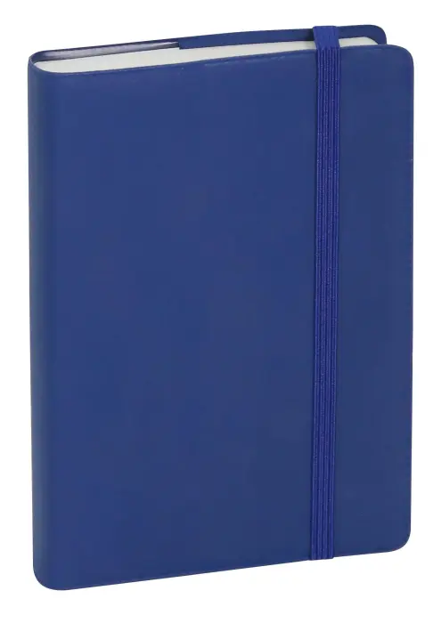 Agenda de poche Journal 13 Quadrillé Plastique 8,5 x 13 cm Janvier à Décembre 2027 - Coloris aléatoire